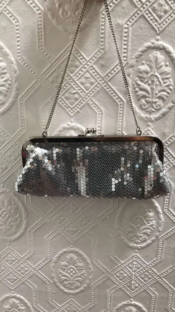 Silver Clutch photo 1