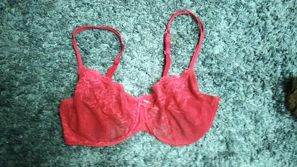 FREE Pink Lace Bra. 38d photo 1