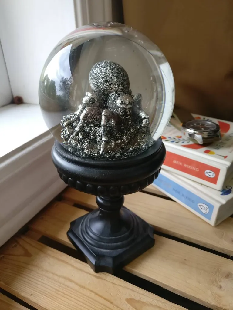 Spider Snowglobe photo 1