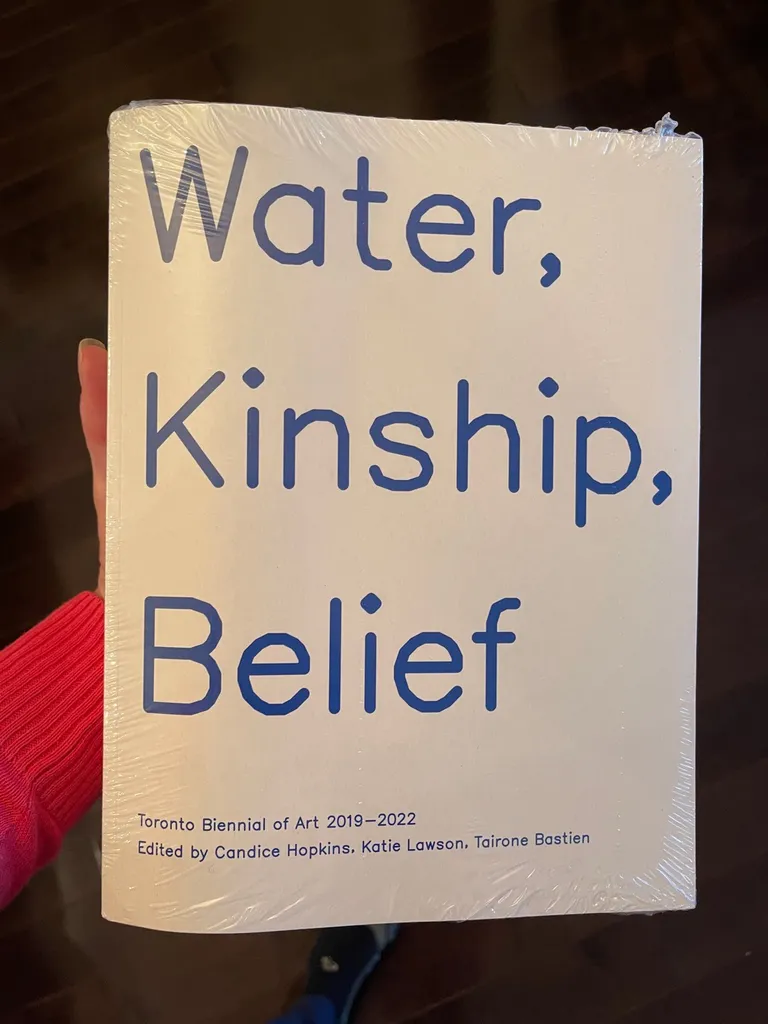 Toronto Biennial Of Art Book photo 1