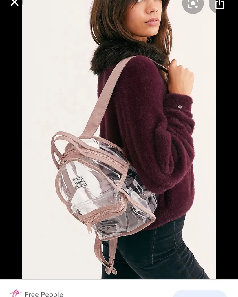 Herschel Mini Clear Backpack photo 1