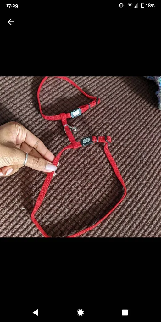 Cat Harness photo 1