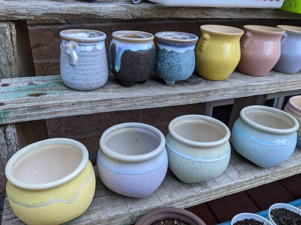 New Succulent/Plant Pots photo 1