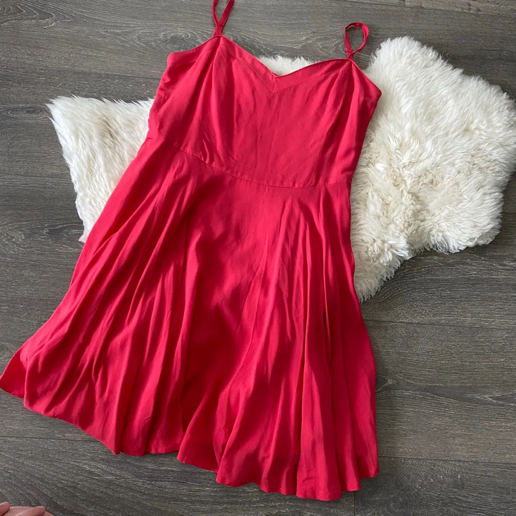 Aritzia Talula Lipinski Skater Dress photo 1