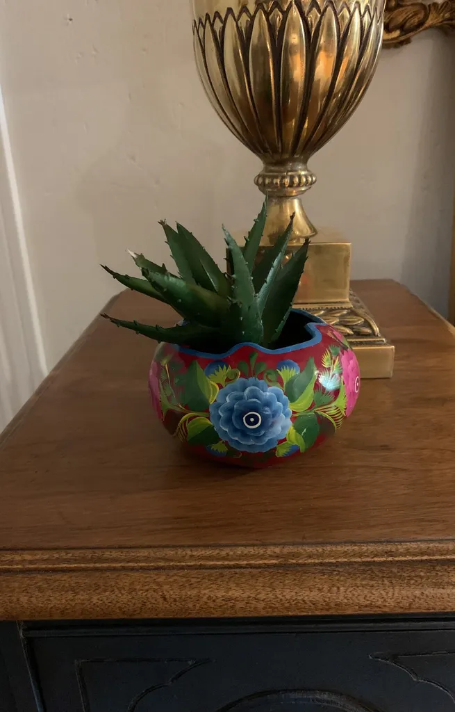 Jicara Mexicain Bowl Planter photo 1
