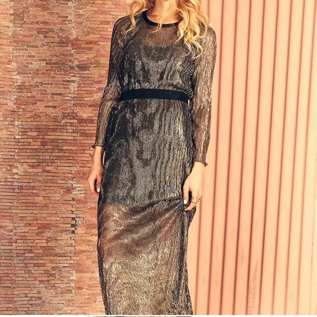 NWT Sheer Maxi Dress Small photo 1