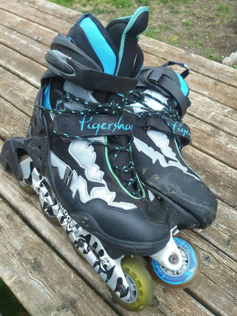 Roller Bunz 03 photo 1