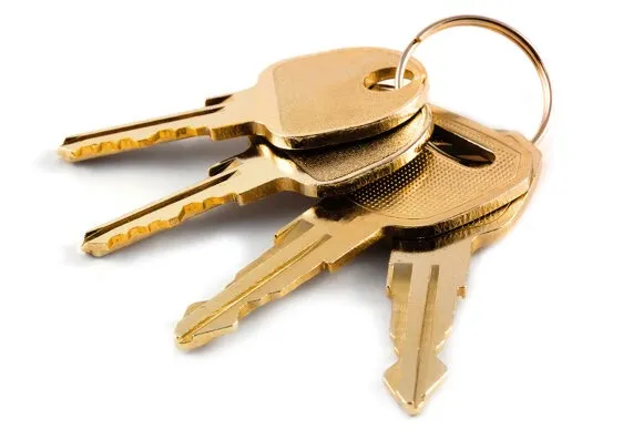 ISO - Lost Keys photo 1