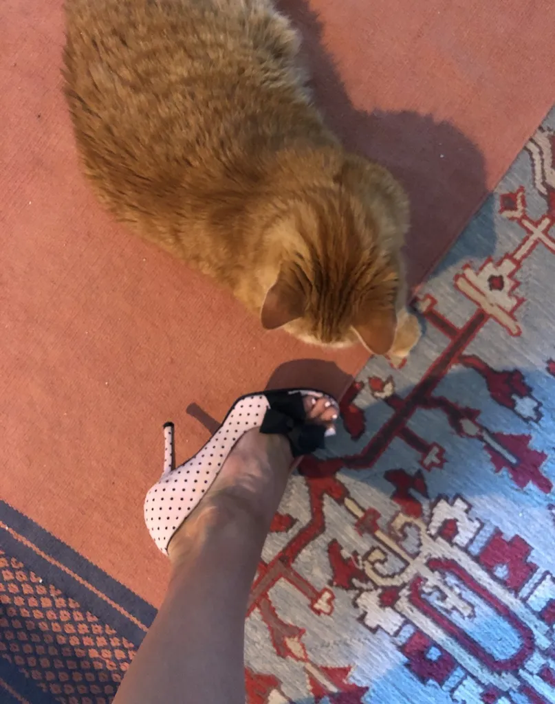 These shoes 6.5 photo 1