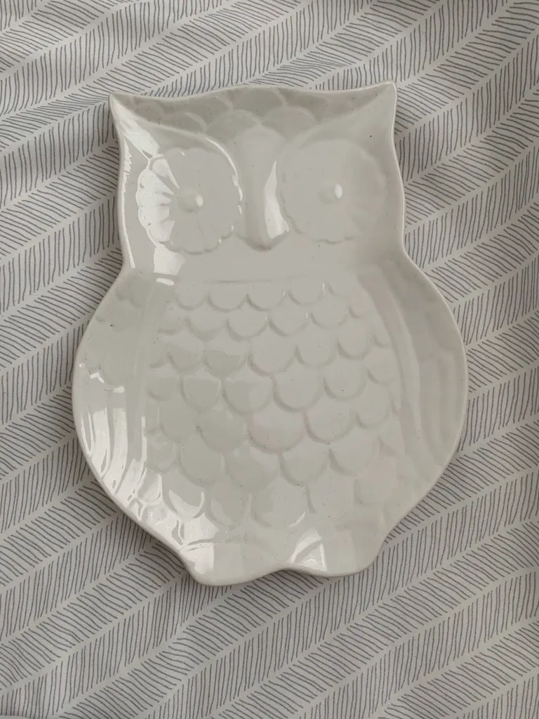 Owl Jewelry Tray photo 1