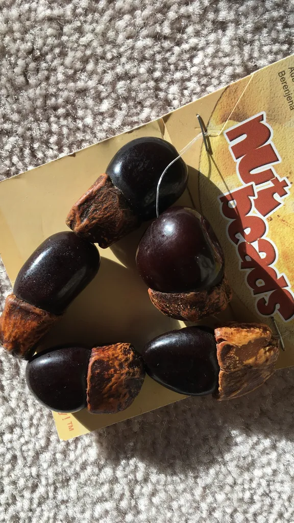 Nut Beads photo 1