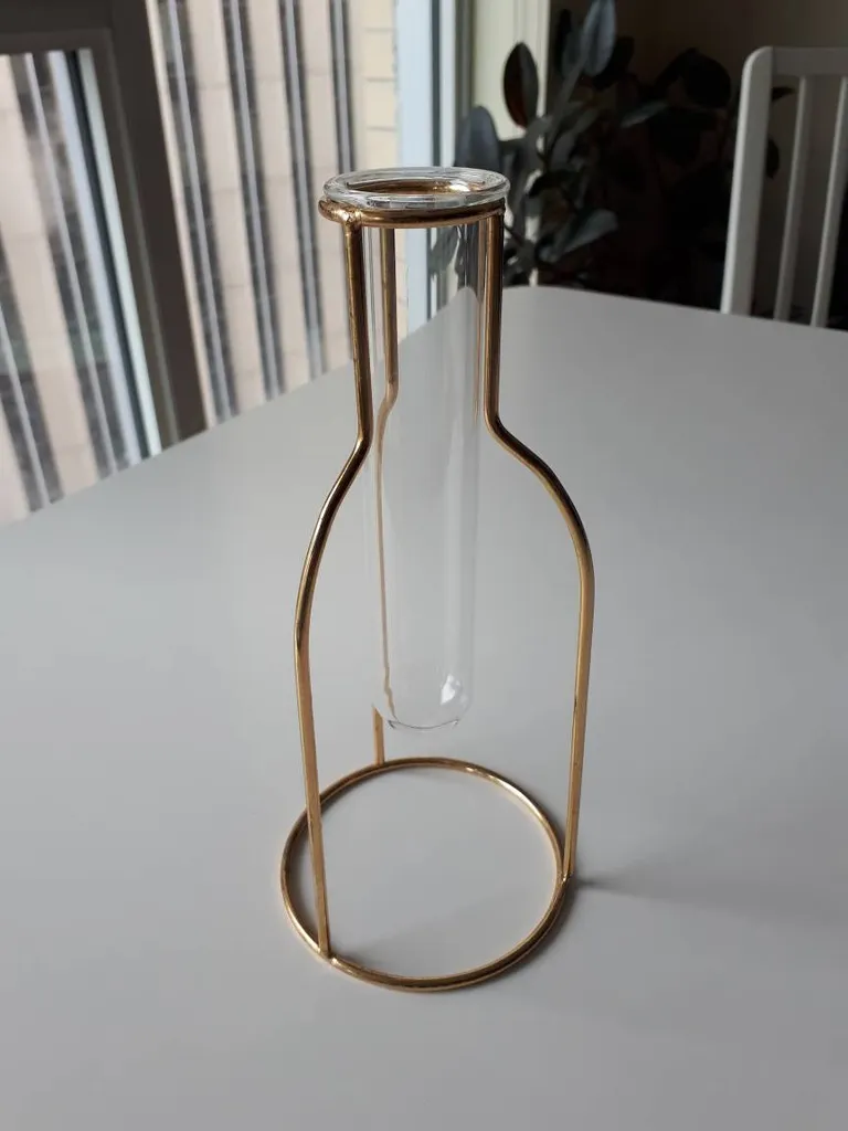 Aesthetic Plant "Pot" photo 1