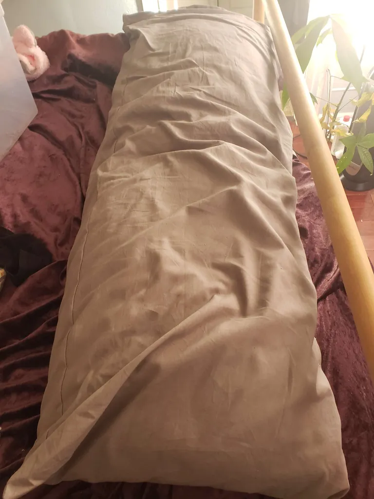 Body Pillow photo 1