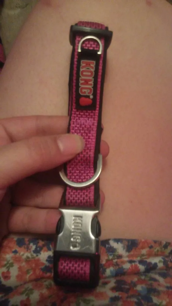 Medium Kong Collar photo 1
