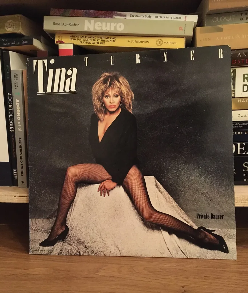 Tina Turner- Private Dancer Lp photo 1