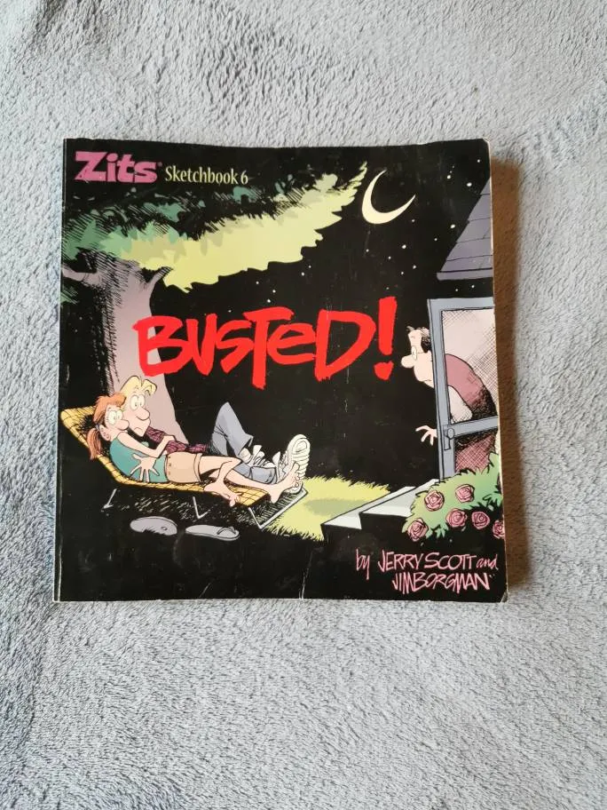 Zits Comics Busted photo 1