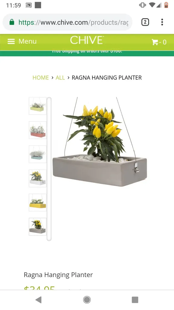 Hanging Planter photo 1