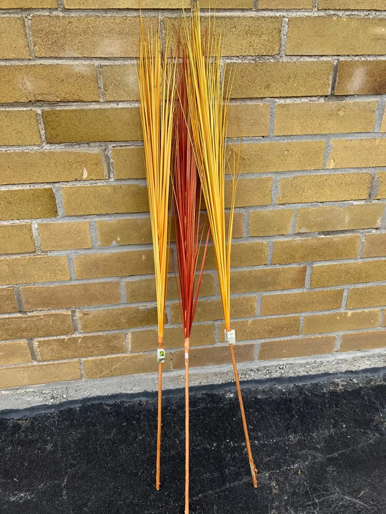 Decorative Grass photo 1