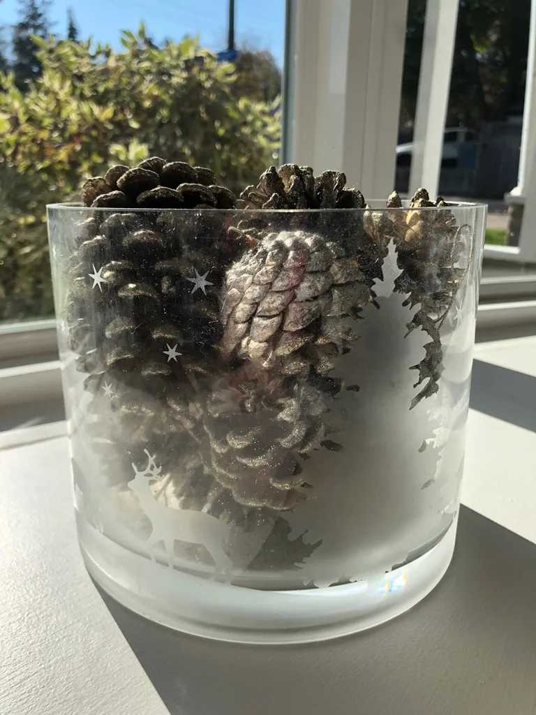 Glass Bowl With Pine cones photo 1