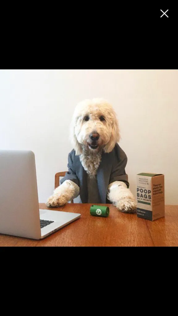 Trade Your Time For BTZ! Promo Person Wanted photo 1