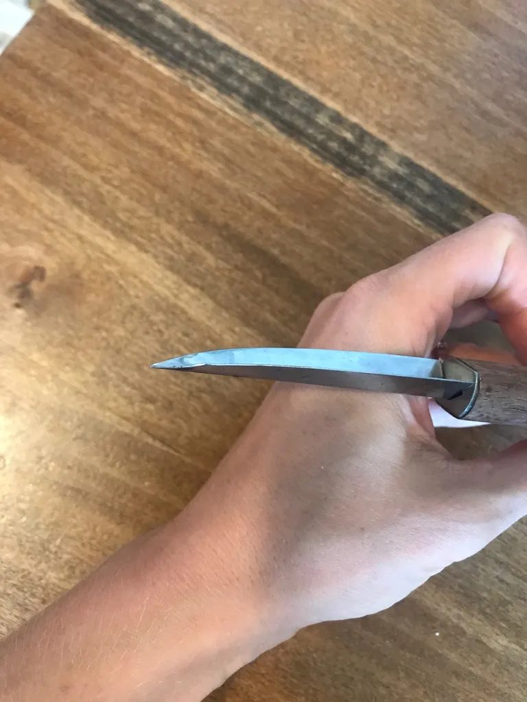 🆓 Weird Knife photo 1