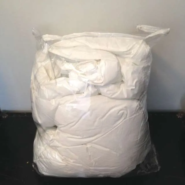 "Twinning" ~Charlie Sheen's Brother photo 1