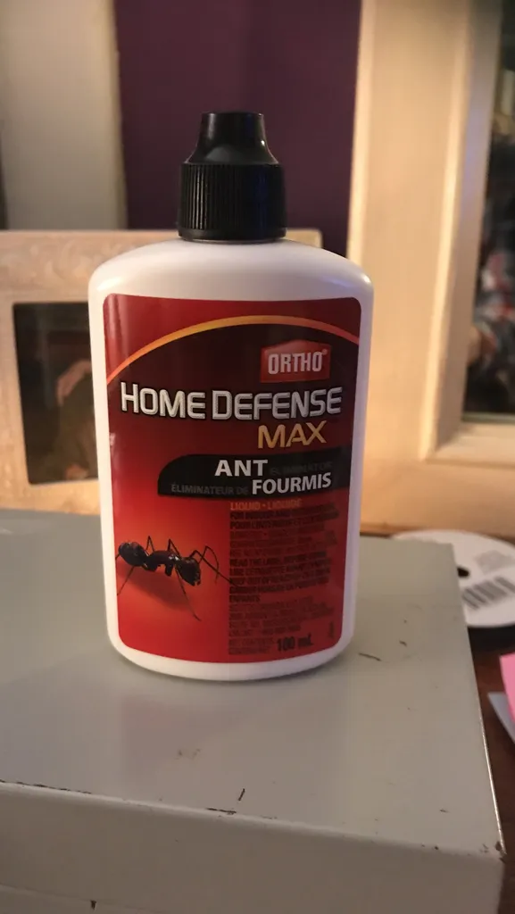 Liquid Ant Bait photo 1