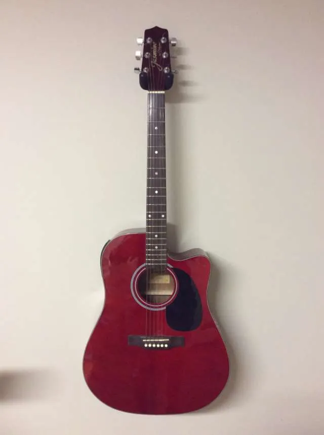 Jasmine By Takamine Acoustic Electric Guitar photo 1