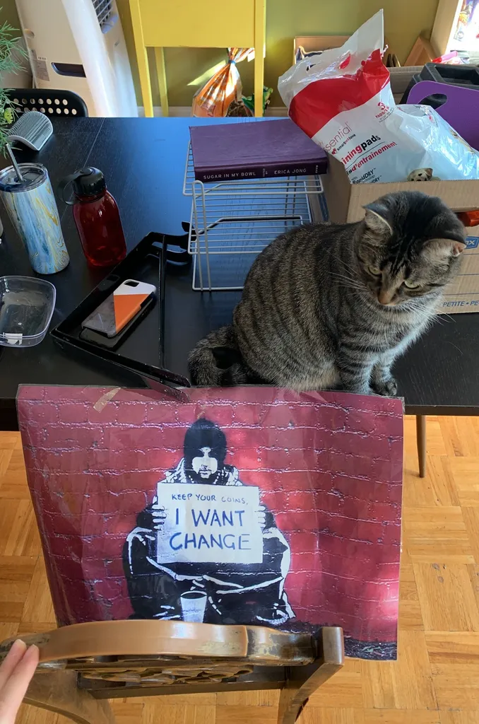 Laminated Poster photo 1