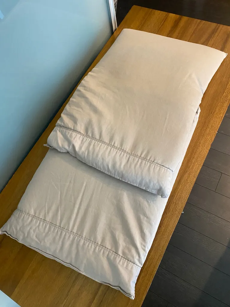 Organic Buckwheat Pillows x 2 photo 1