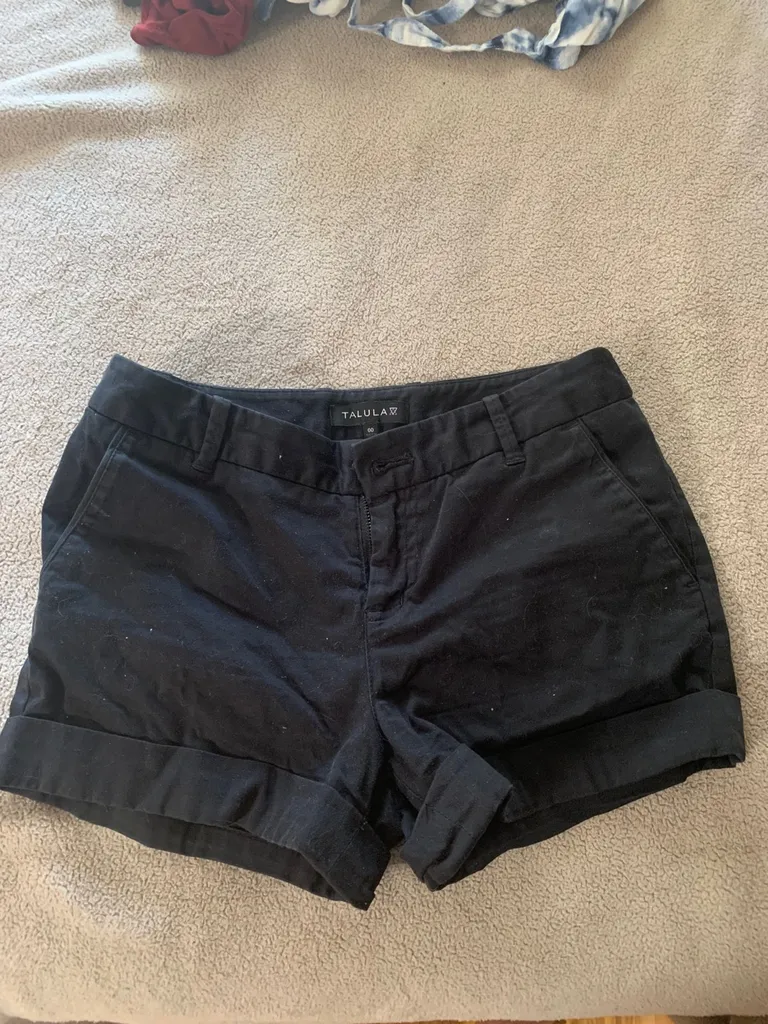 Aritzia Shorts photo 1