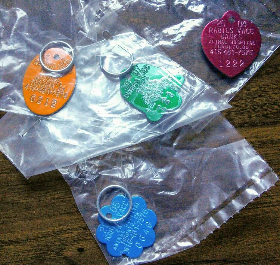 FREE old metal rabies vaccination pet tags photo 1