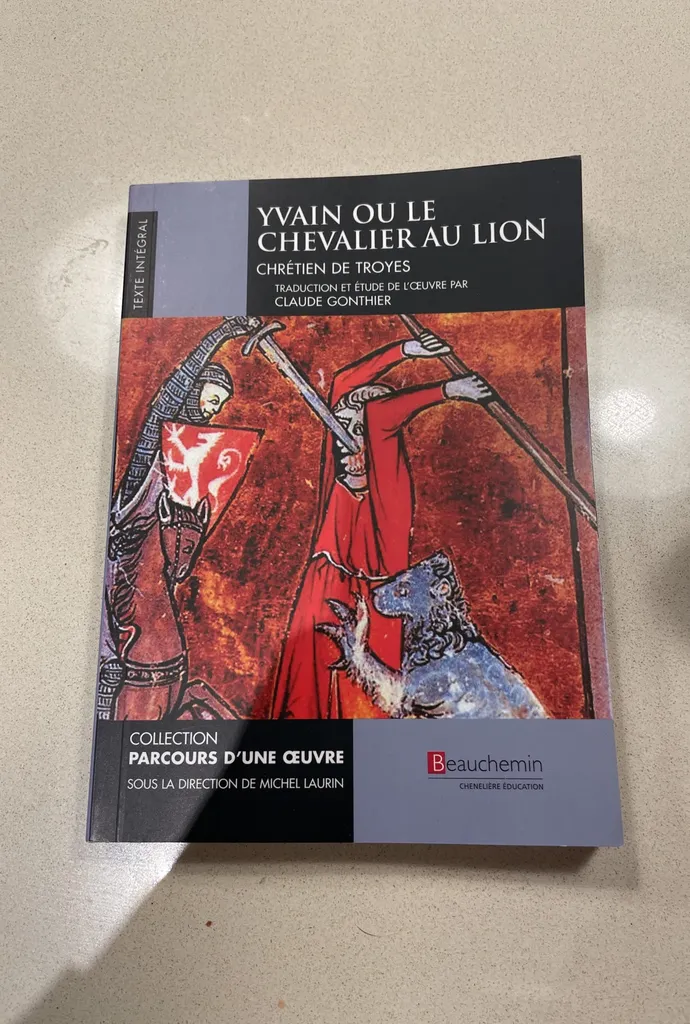 Yvain Ou Le Chevalier Au Lion photo 1