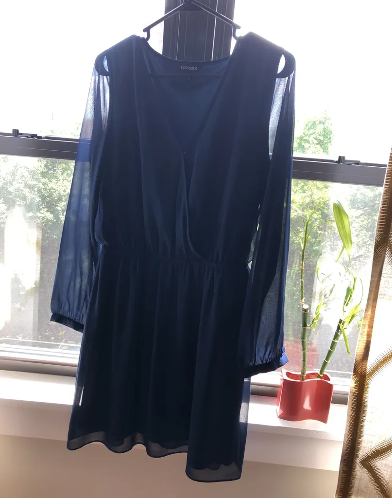 Long Sleeve Sheer Sleeve Dress photo 1