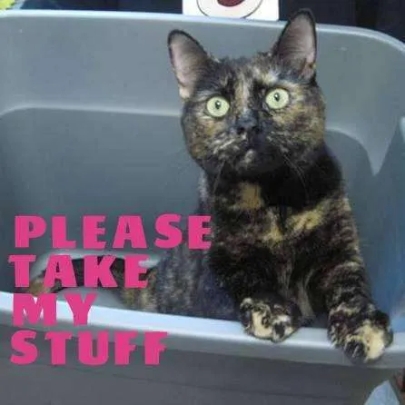 Rough Christmas this year! photo 1