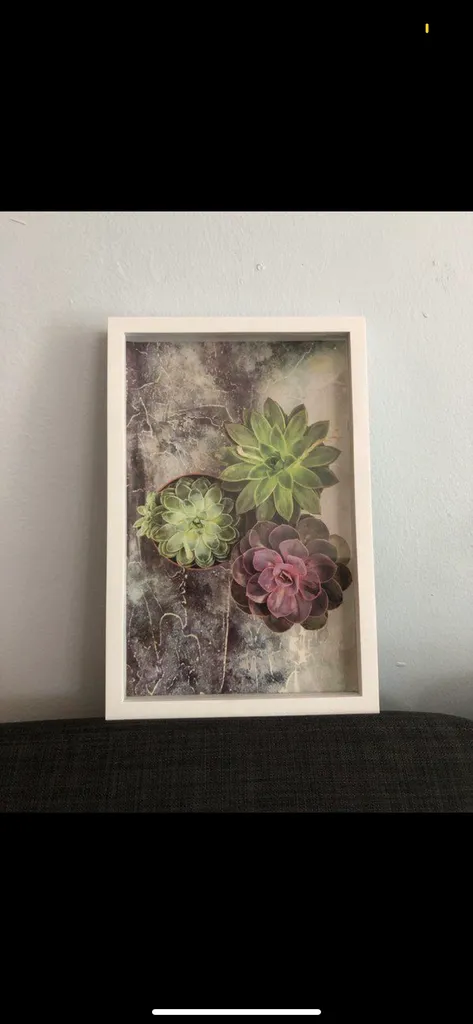 Framed Succulent Print photo 1