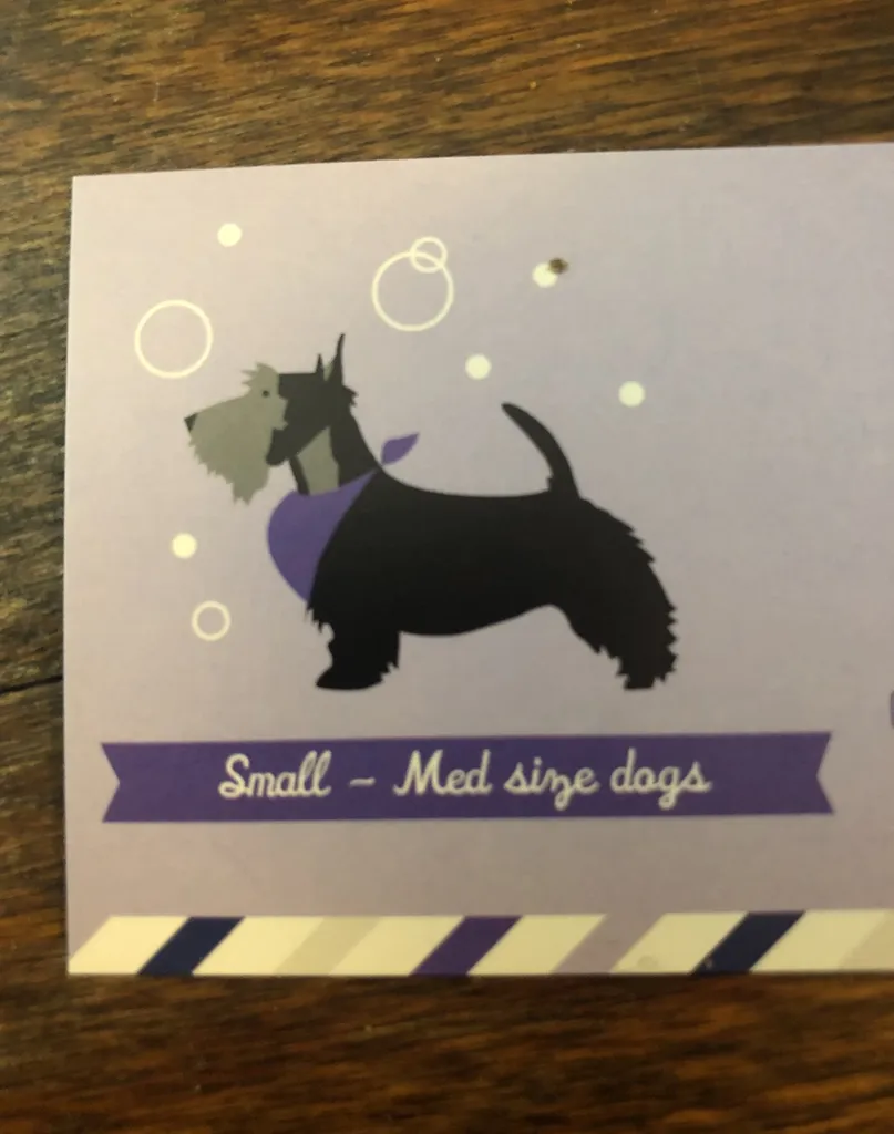 Dog Grooming Small- Medium Dogs And Cat Grooming Non Aggresive photo 1