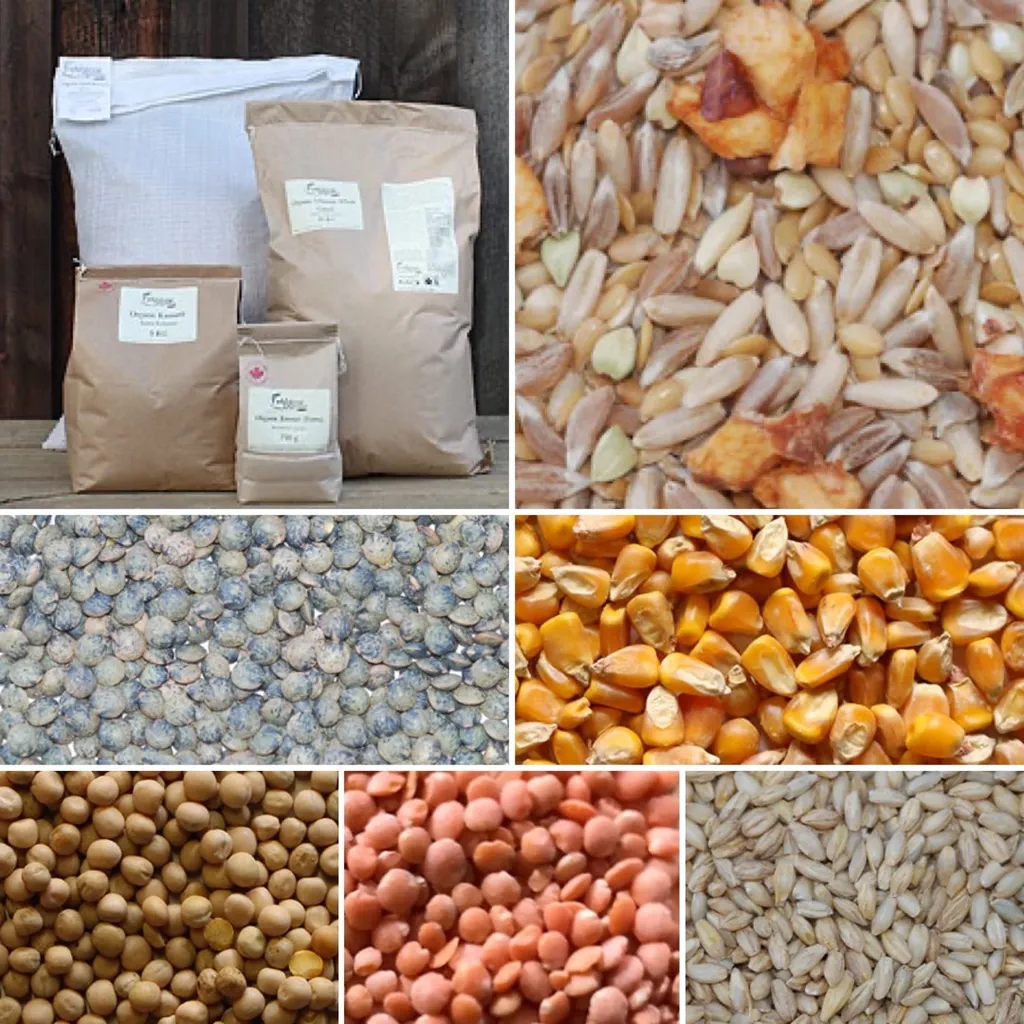 Local Organic Grains, Lentils, & Peas photo 1