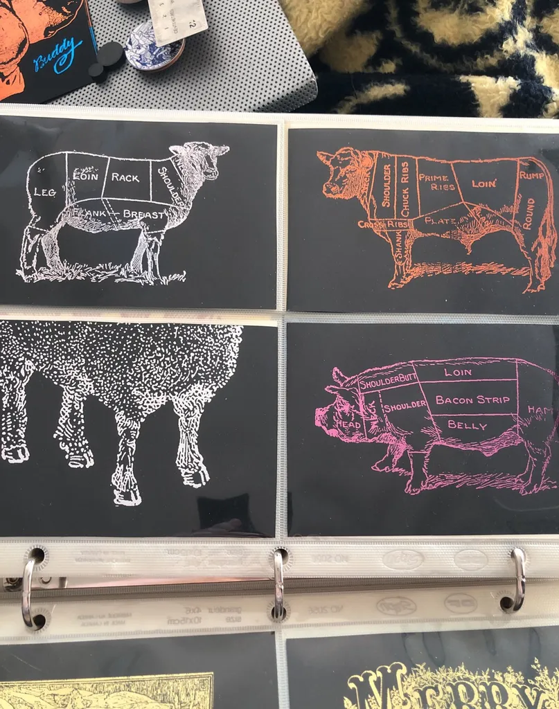 Antique Butchery Diagrams Foil Prints 4x6 photo 1