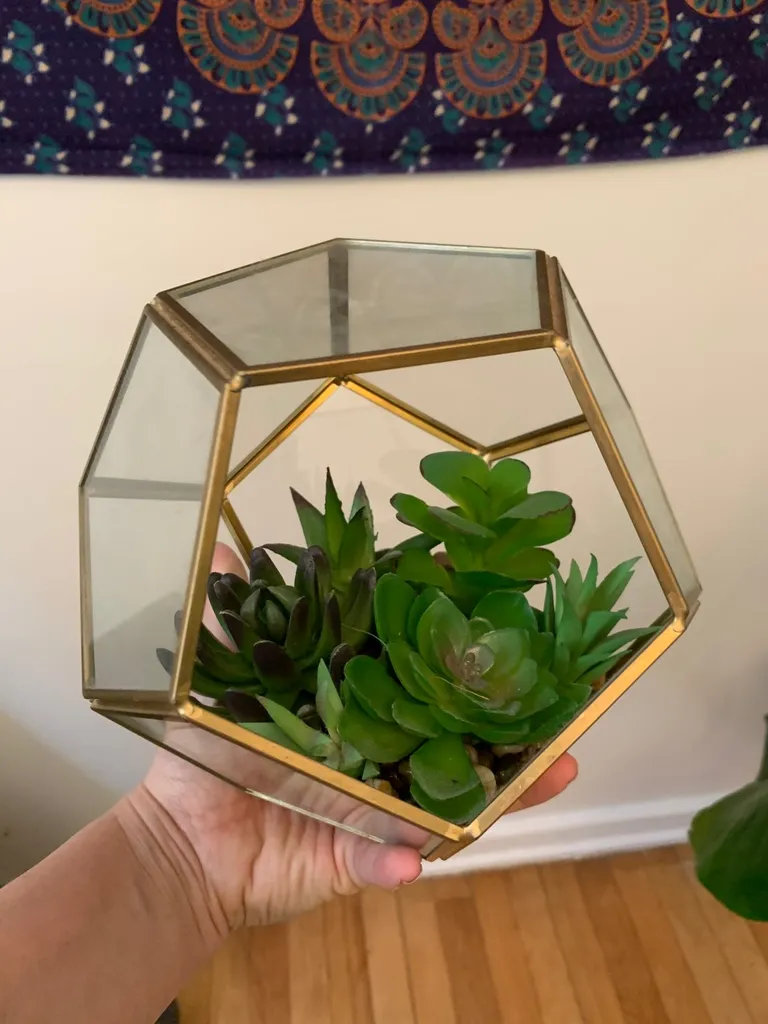 Faux Terrarium photo 1