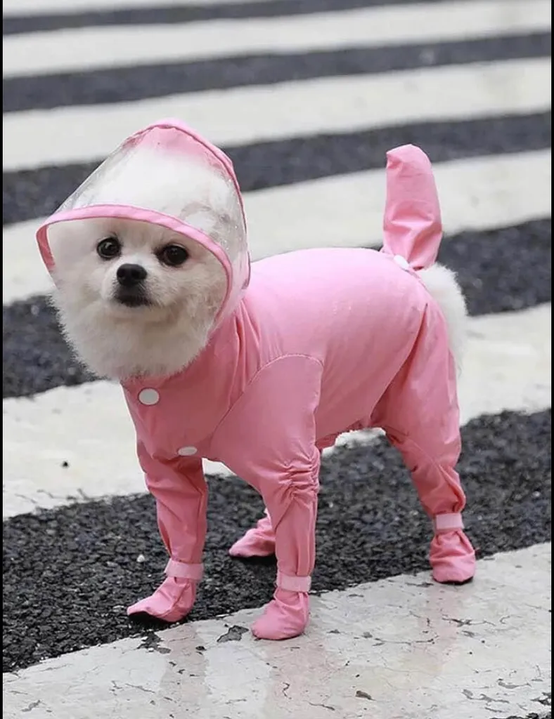 DOGGIE JUMPSUIT RAINCOAT photo 1