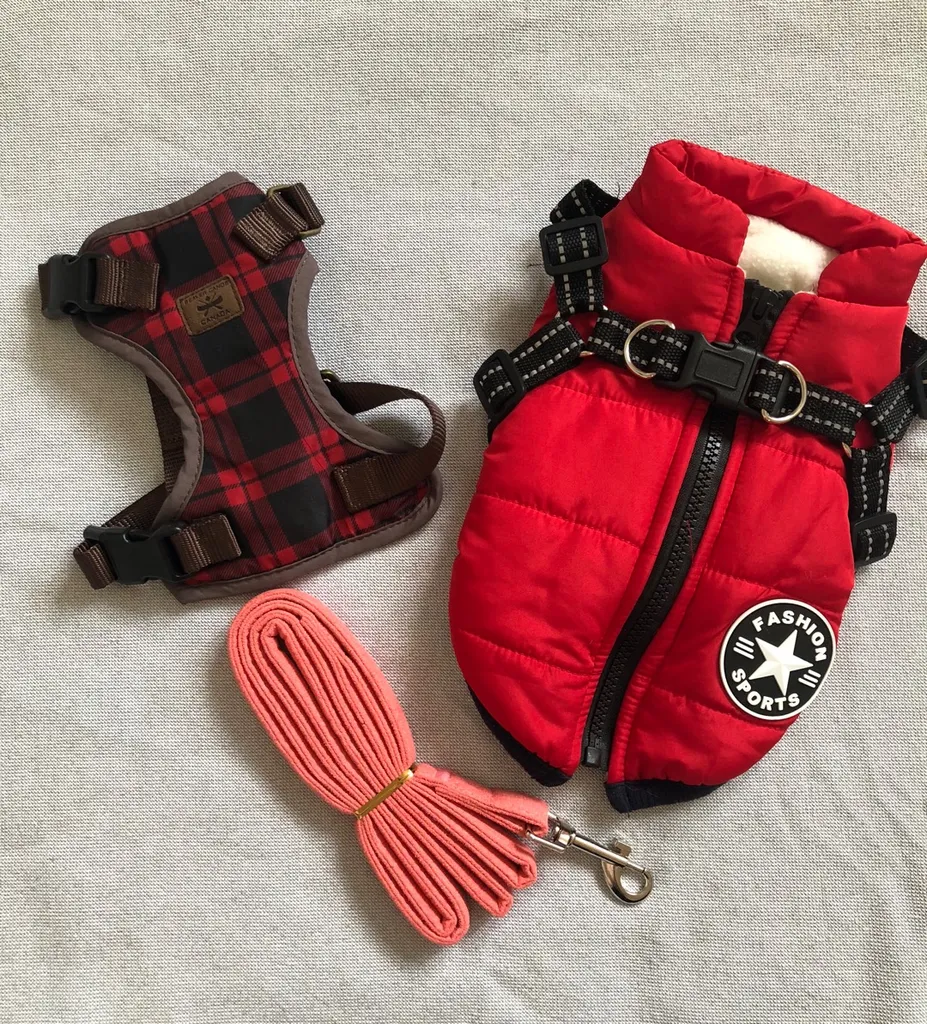 XS Dog Fashion photo 1