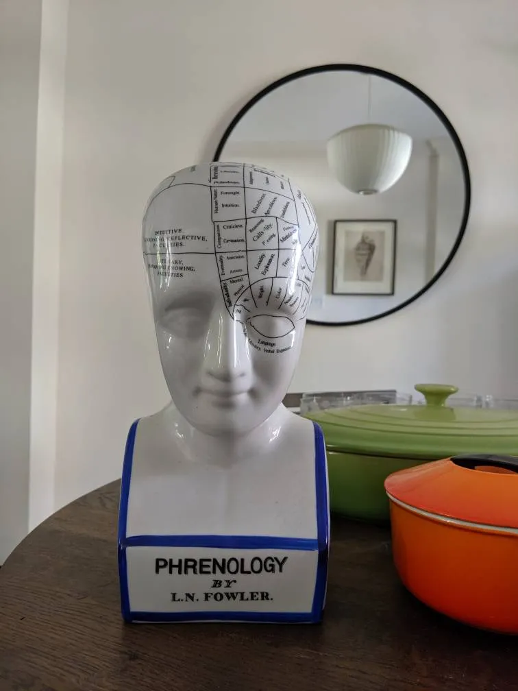 Ceramic phrenology head photo 1