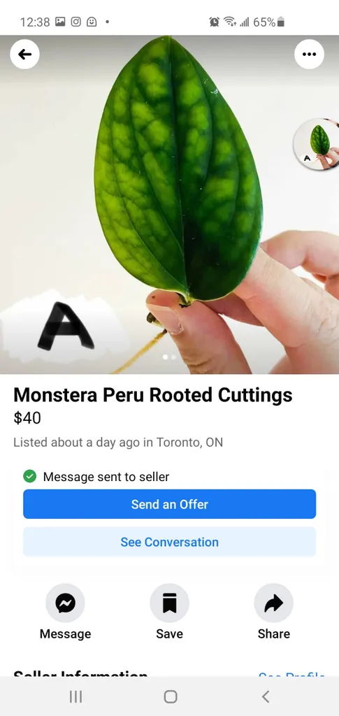 STOP OVERCHARGING FOR CUTTINGS photo 1