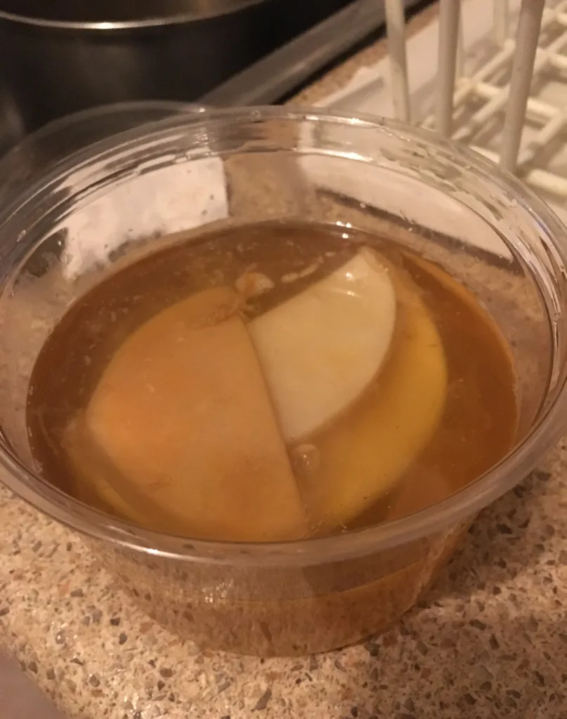 Kombucha Scoby photo 1