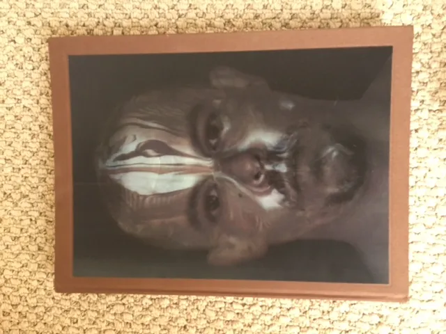 Alexander McQueen Savage Beauty Hardcover photo 1