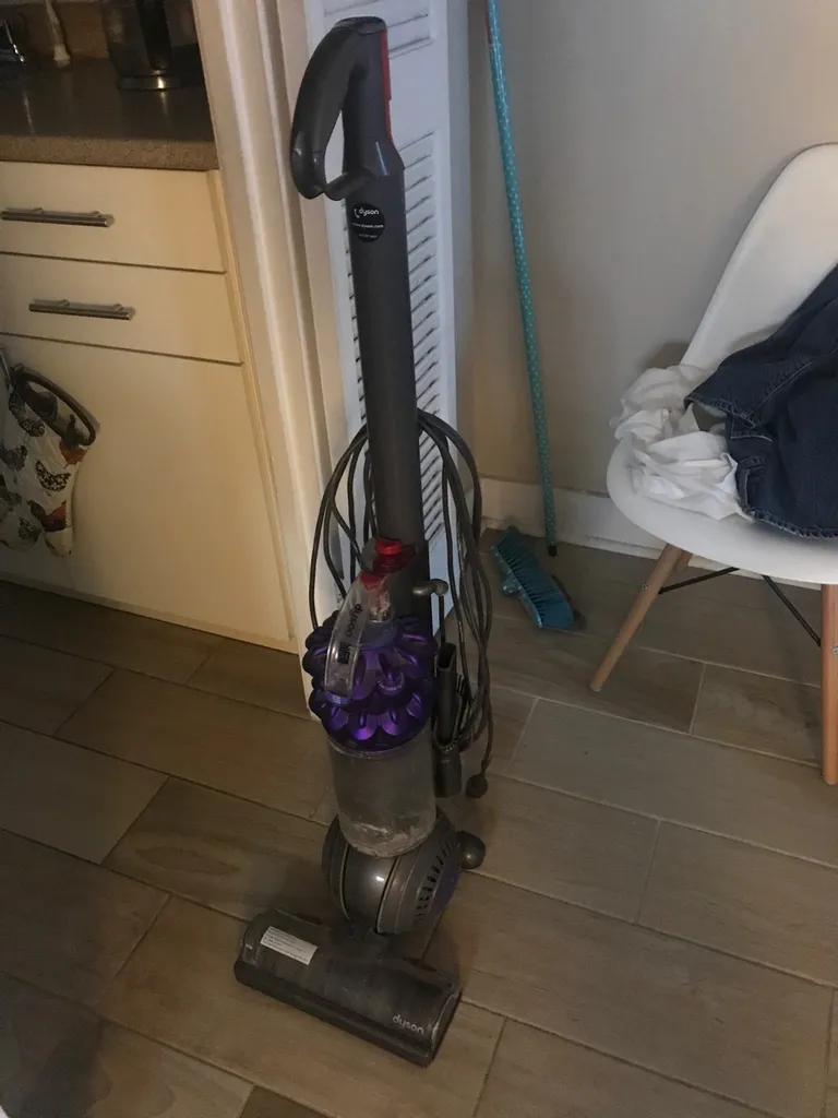 Dyson Ball Animal 2 Pro Vacuum photo 1