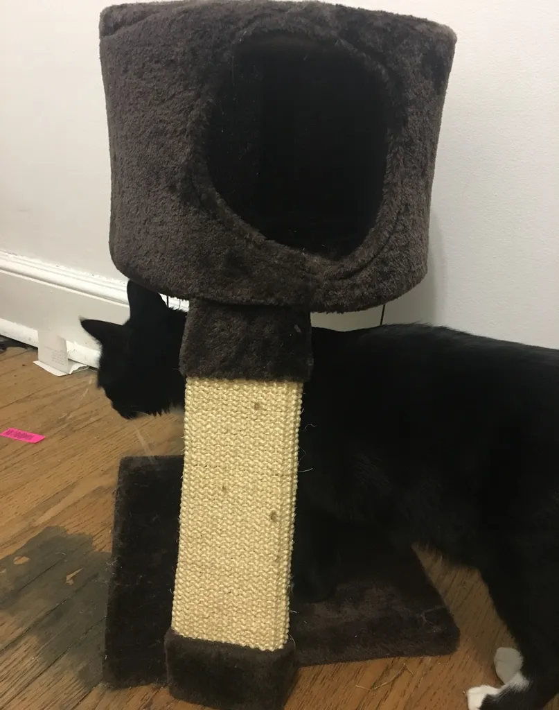 Small Cat Scratch Post House Thing photo 1