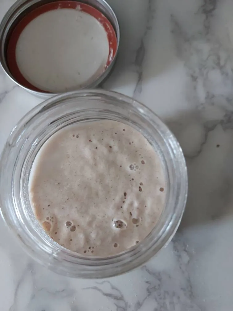Gluten Free Sourdough Starter photo 1