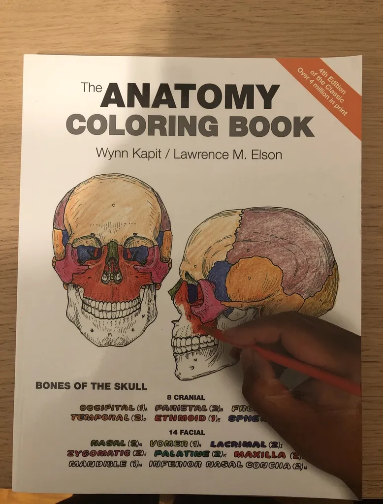 Anatomy Colouring Book photo 1